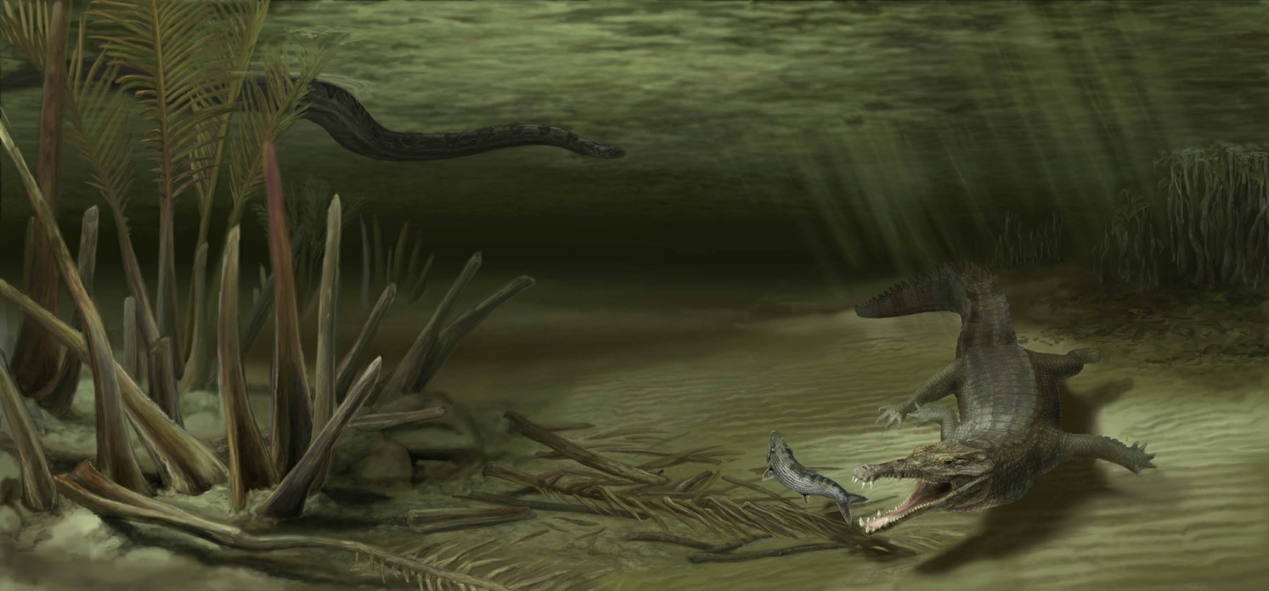 Acherontisuchus guajiraensis versus Titanoboa